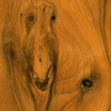 Antique Yew - 0191/100